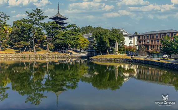 SEO-Texte Bayern - Professionelle Texterstellung für bessere Rankings