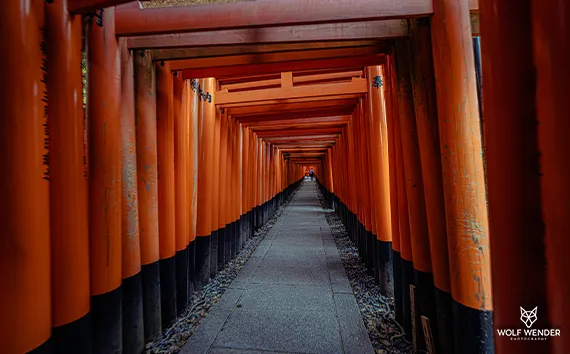 Pagespeed Optimierung Bayern - Schnellere Ladezeiten für bessere Rankings