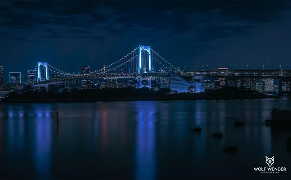 SEO-Analyse und Website-Audit in Bayern - Professionelle Optimierungsanalyse