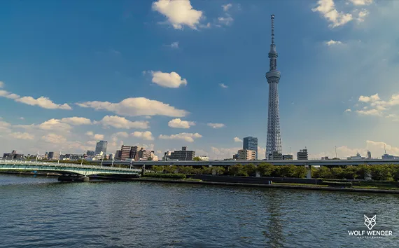 FAQ - Häufig gestellte Fragen zu SEO in Bayern