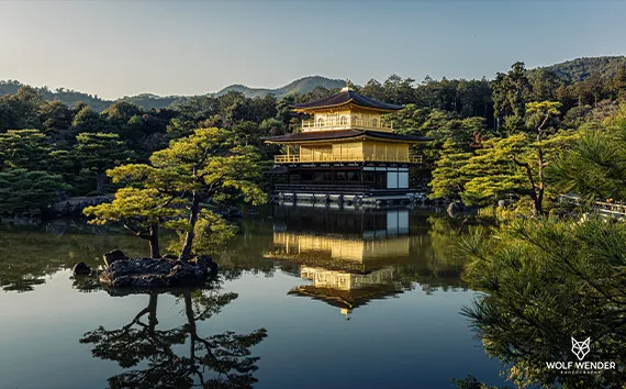 Mockup Gestaltung - Professionelle Website-Entwürfe und Prototypen